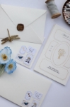 Butterfly Davetiye resmi