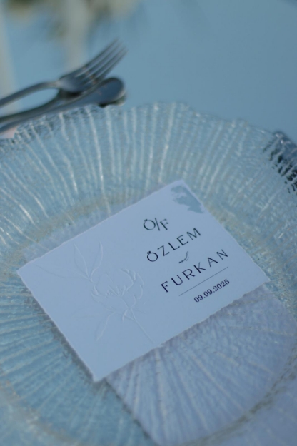 Sera Masa Kartı  resmi