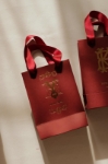 Red Wine Karton Çanta resmi