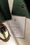 Green Luna resmi