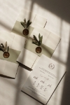 Olive resmi