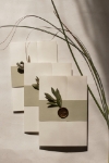 Olive resmi